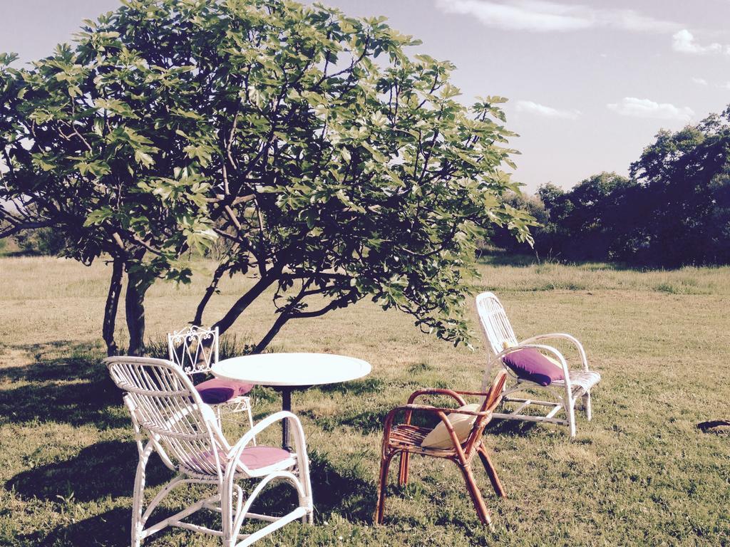 B&B Mas Coquells Habitacion Genover Vilanant Exterior foto